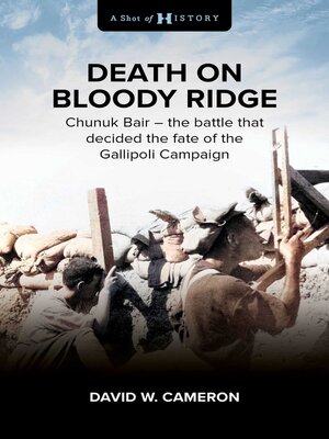 cover image of Death on Bloody Ridge